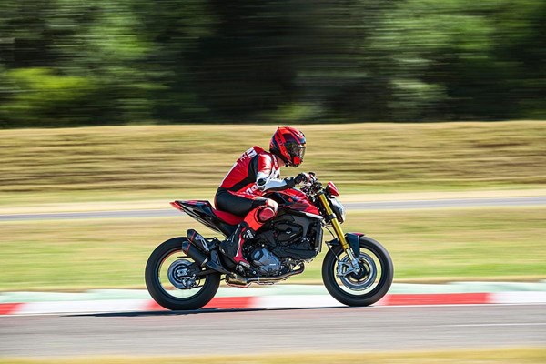 Ducati Monster SP () - Bild 2
