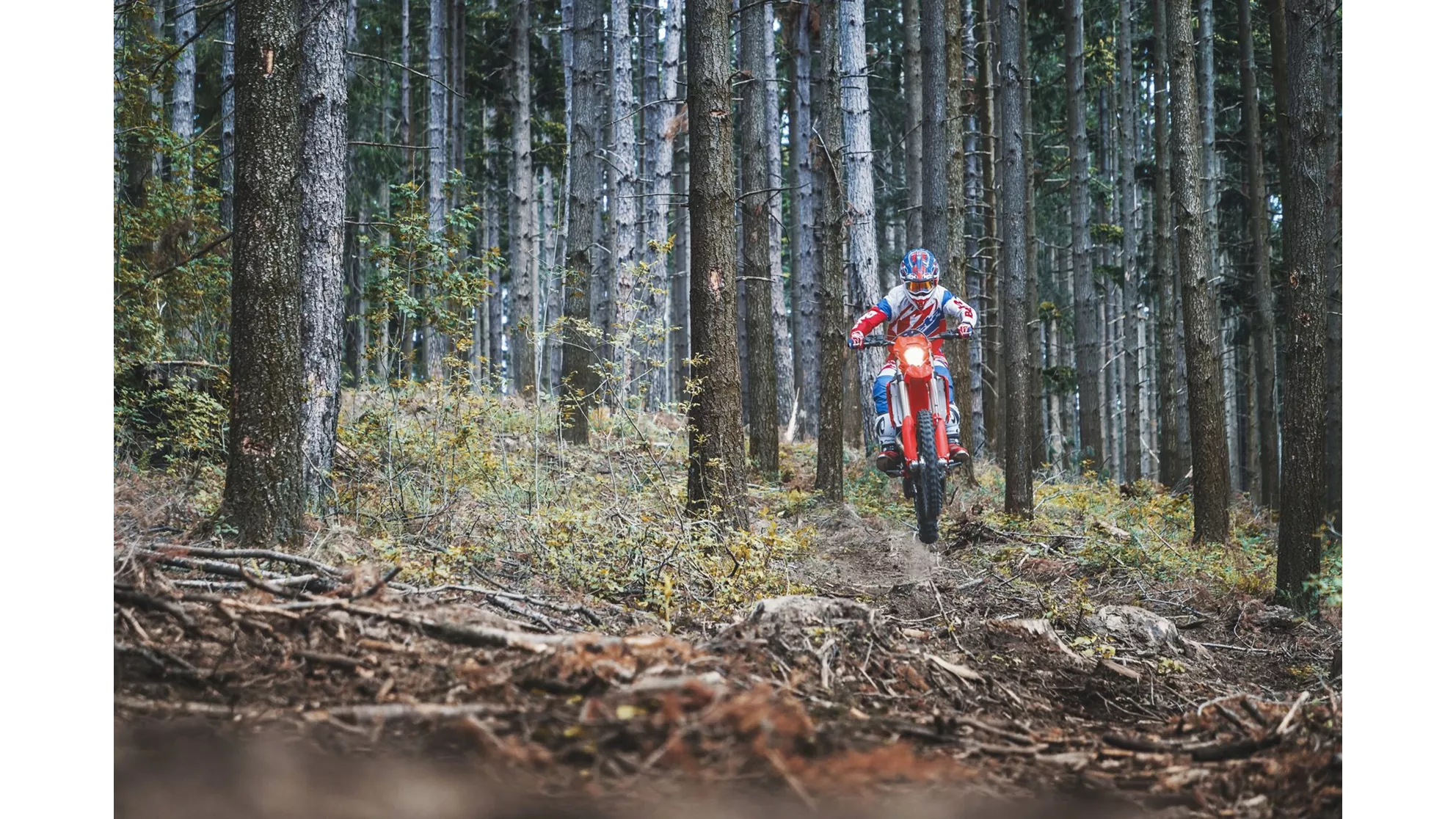 Beta RR 350 4T - Image 9 Beta RR 350 4T - Image 9