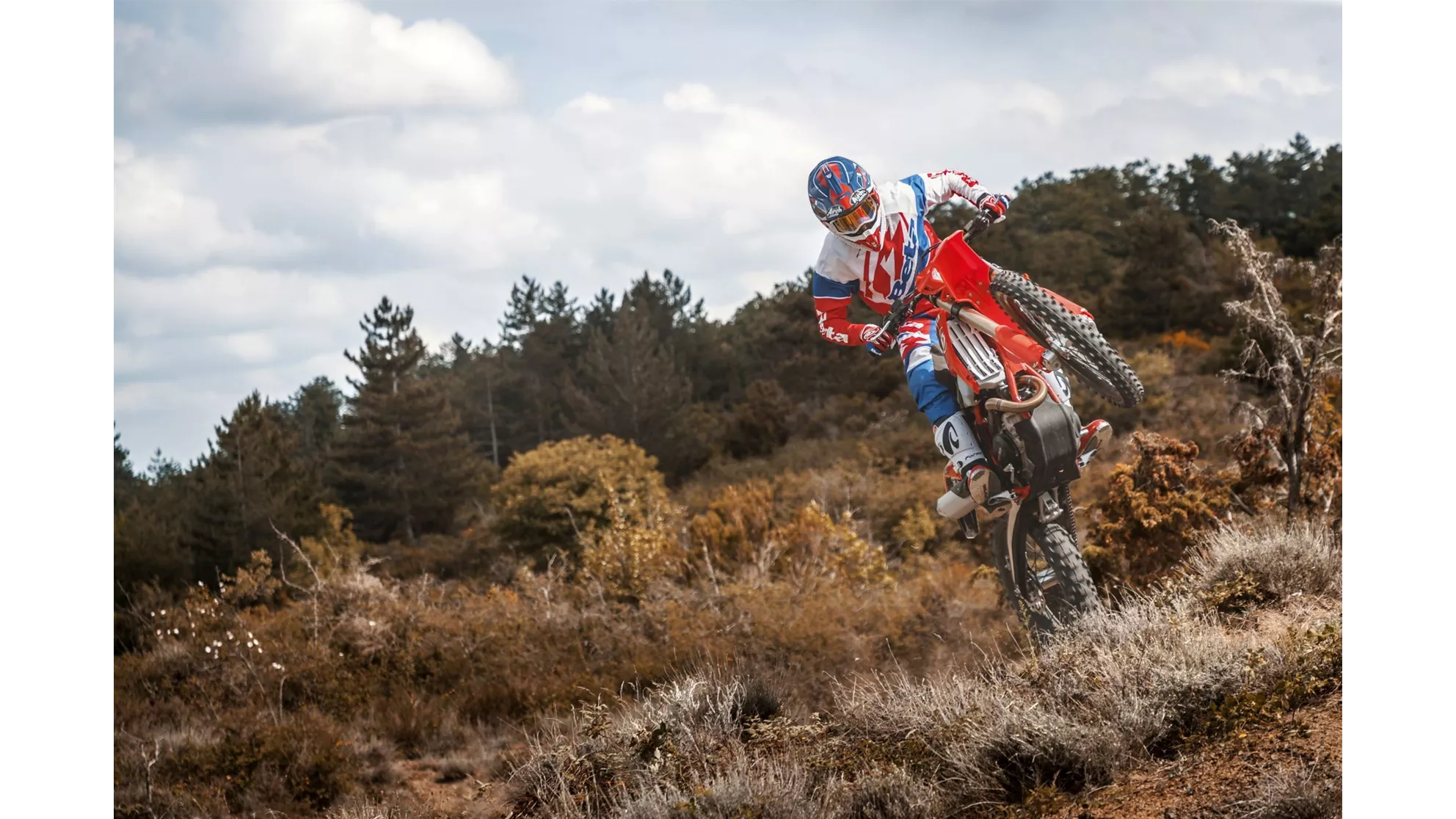 Beta RR 390 - Image 5 Beta RR 390 - Image 5