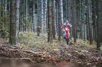 Beta RR 390 2023 - Bild 8 Beta RR 390 2023 - Bild 8