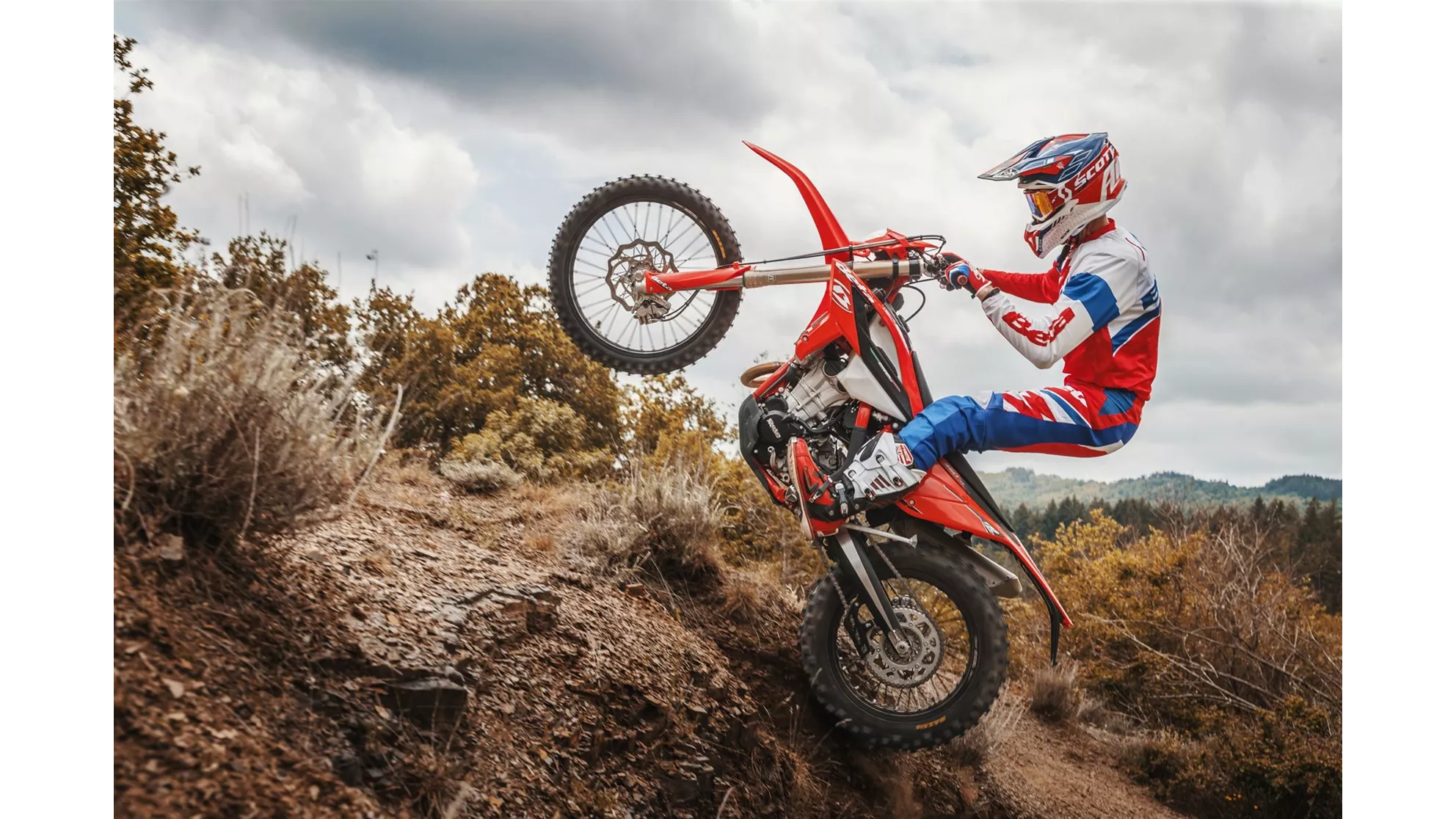 Beta RR 390 - Image 8 Beta RR 390 - Image 8