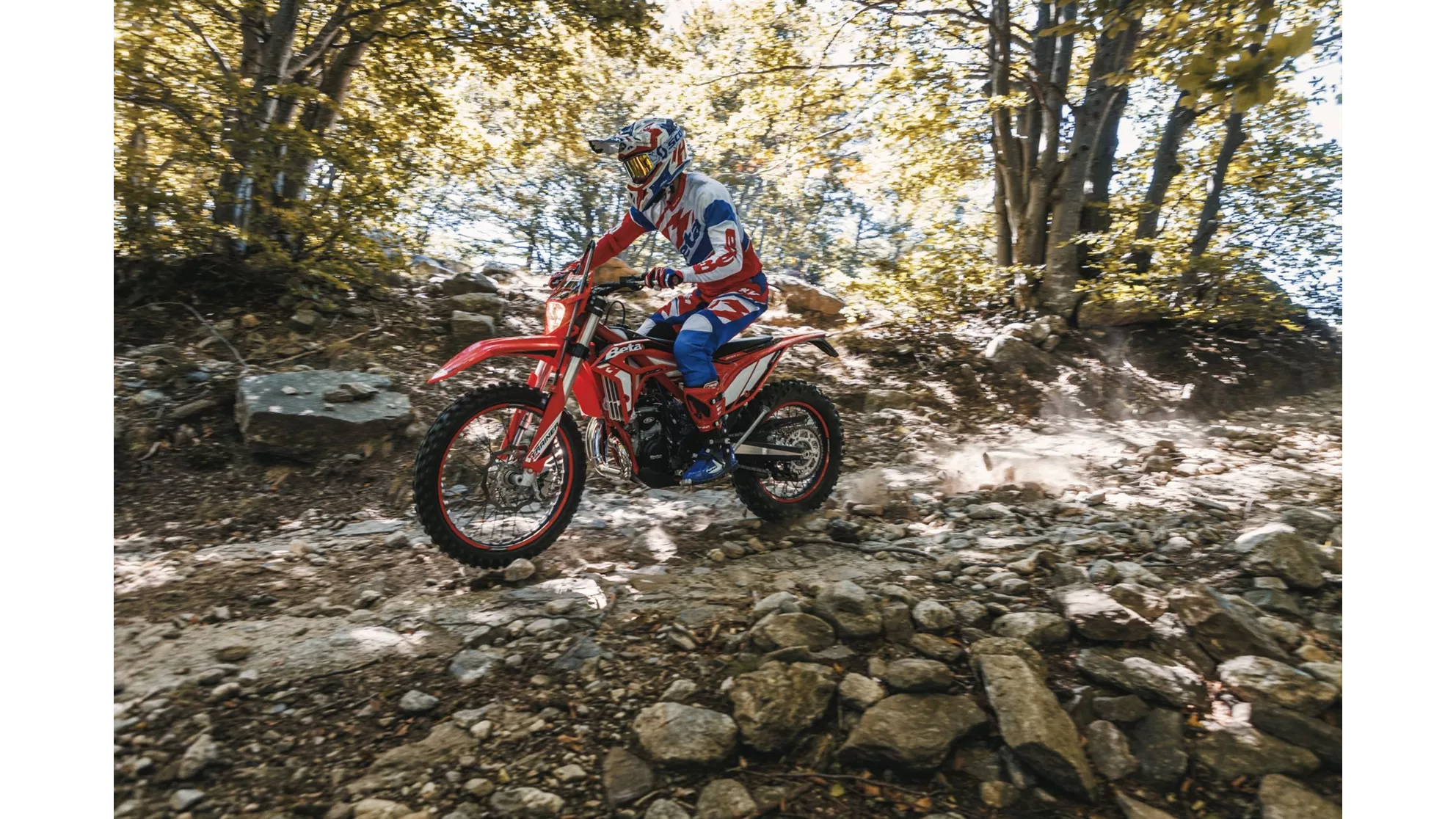 Beta Xtrainer 300 - Image 13 Beta Xtrainer 300 - Image 13