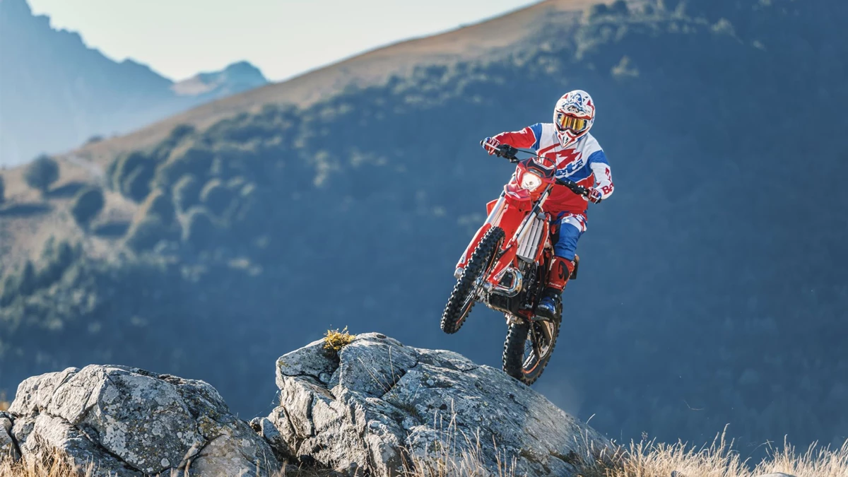 Beta Xtrainer 250 Bild 3: Beta Xtrainer 250