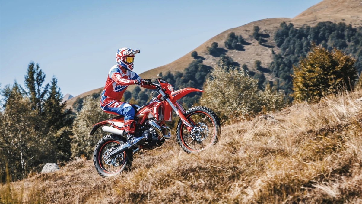 Beta Xtrainer 250 Bild 10: Beta Xtrainer 250