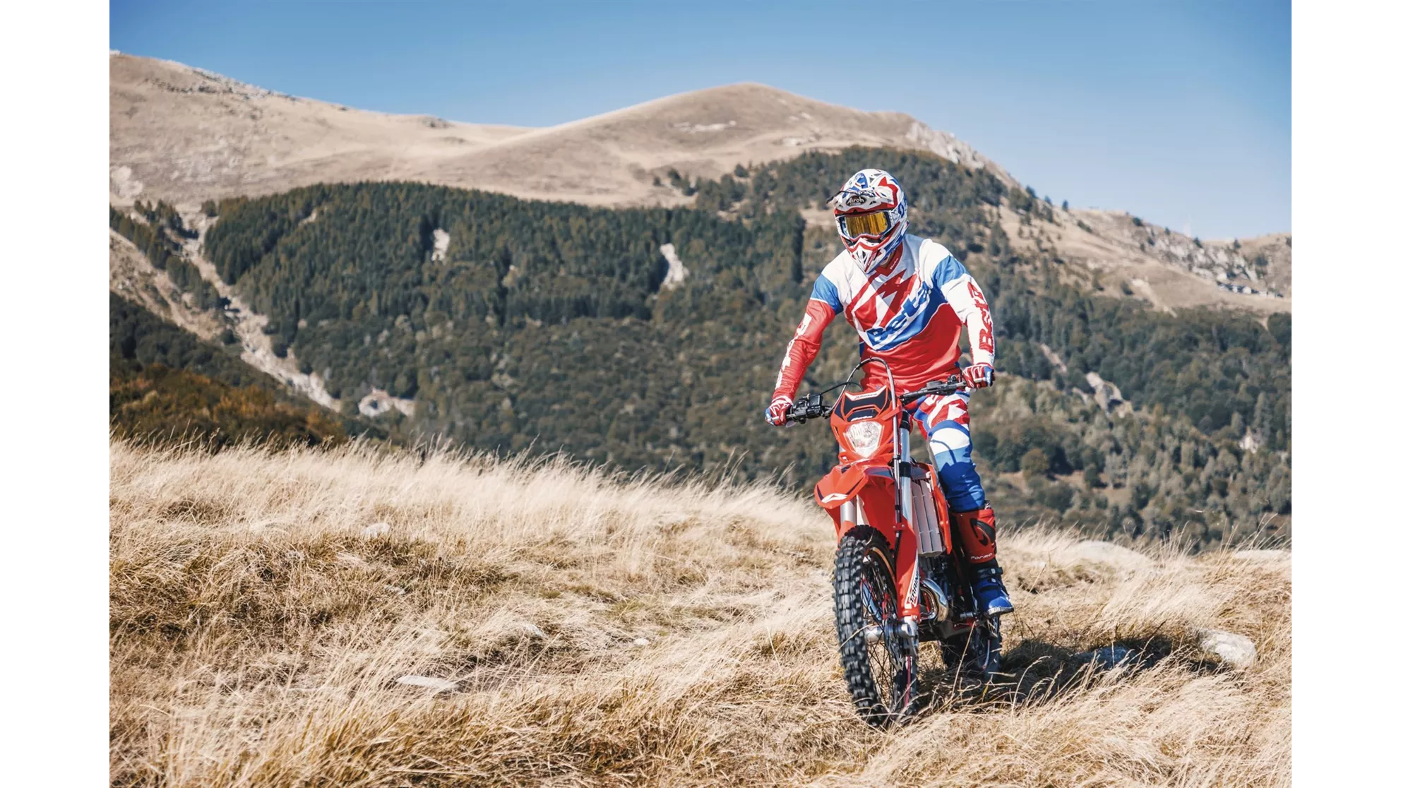 Beta Xtrainer 250 - Image 10 Beta Xtrainer 250 - Image 10