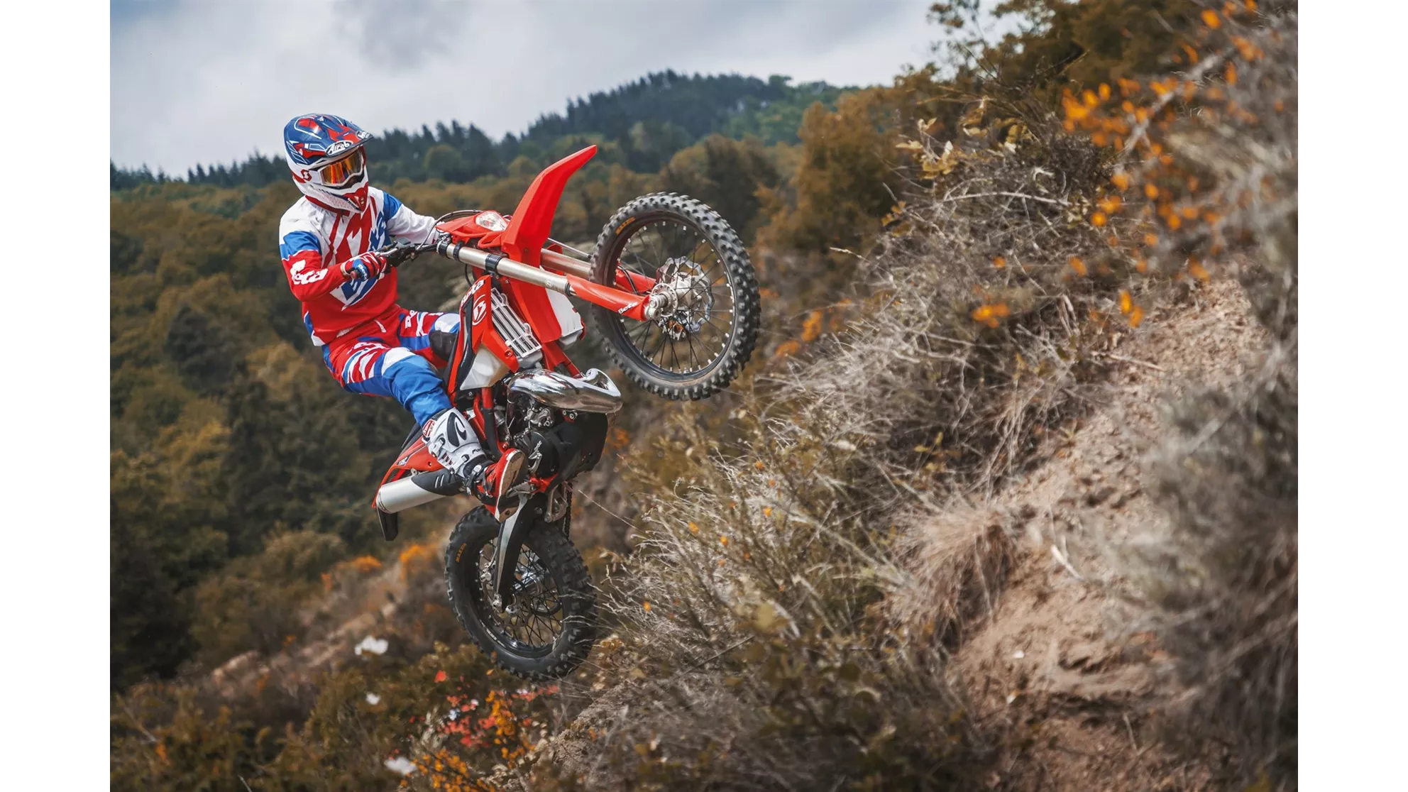 Beta RR 200 2T - Image 6 Beta RR 200 2T - Image 6