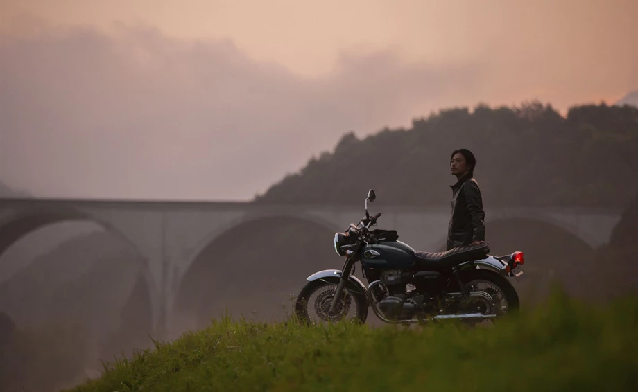 Kawasaki W800 Bild 6: Kawasaki W800
