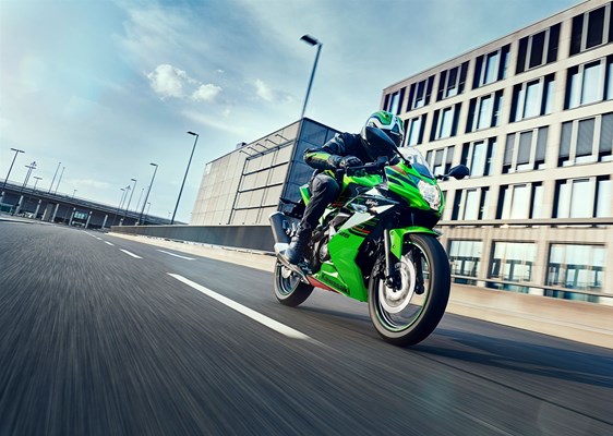 Kawasaki Ninja 125 () - Bild 6