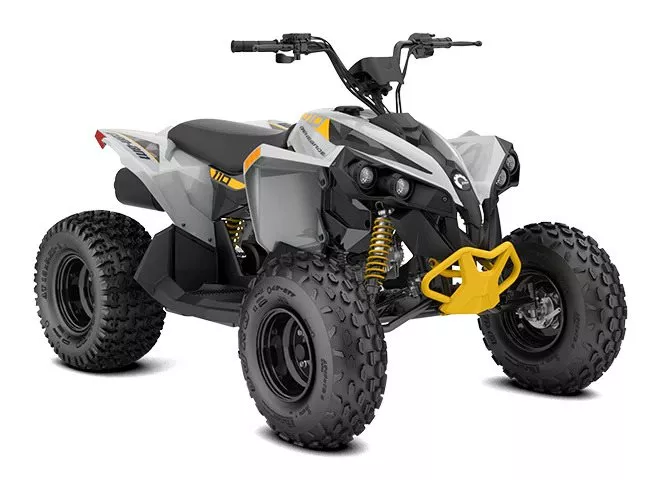 Can-Am Renegade 110 EFI Can-Am Renegade 110 EFI