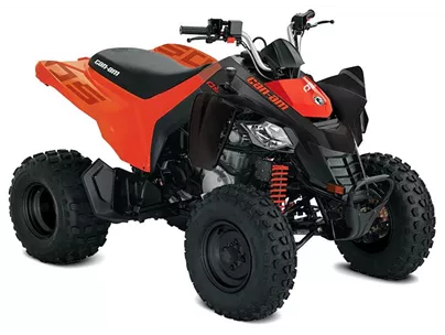 Can-Am DS 250 2023