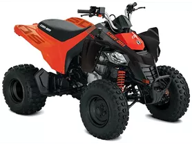 Can-Am DS 250