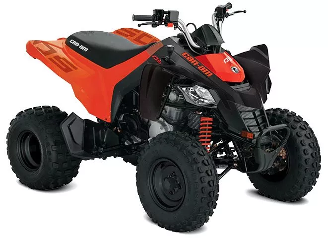 Can-Am DS 250 Can-Am DS 250