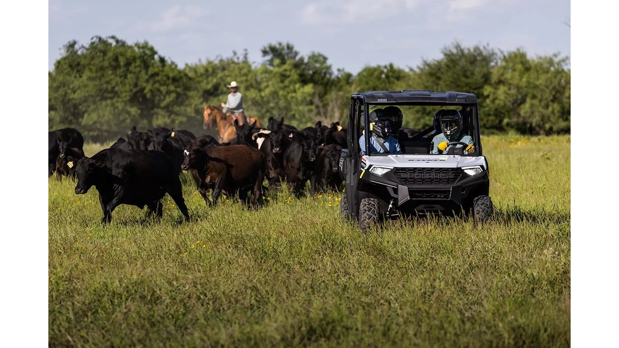 Polaris Ranger Crew 1000 Diesel - Image 3 Polaris Ranger Crew 1000 Diesel - Image 3