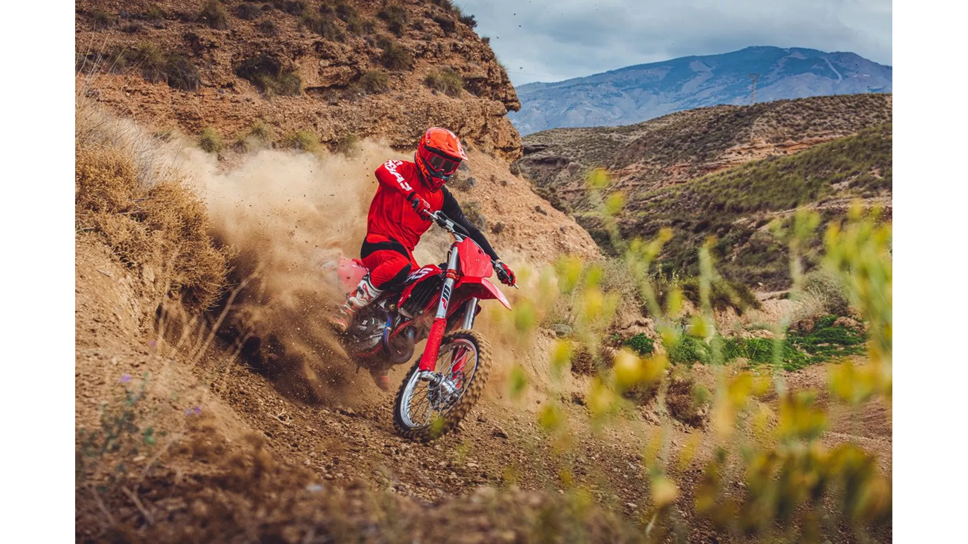 GASGAS MC 450F - Image 16 GASGAS MC 450F - Image 16