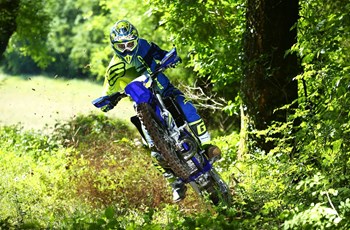 Sherco 300 SE-R 2023 - Bild 3