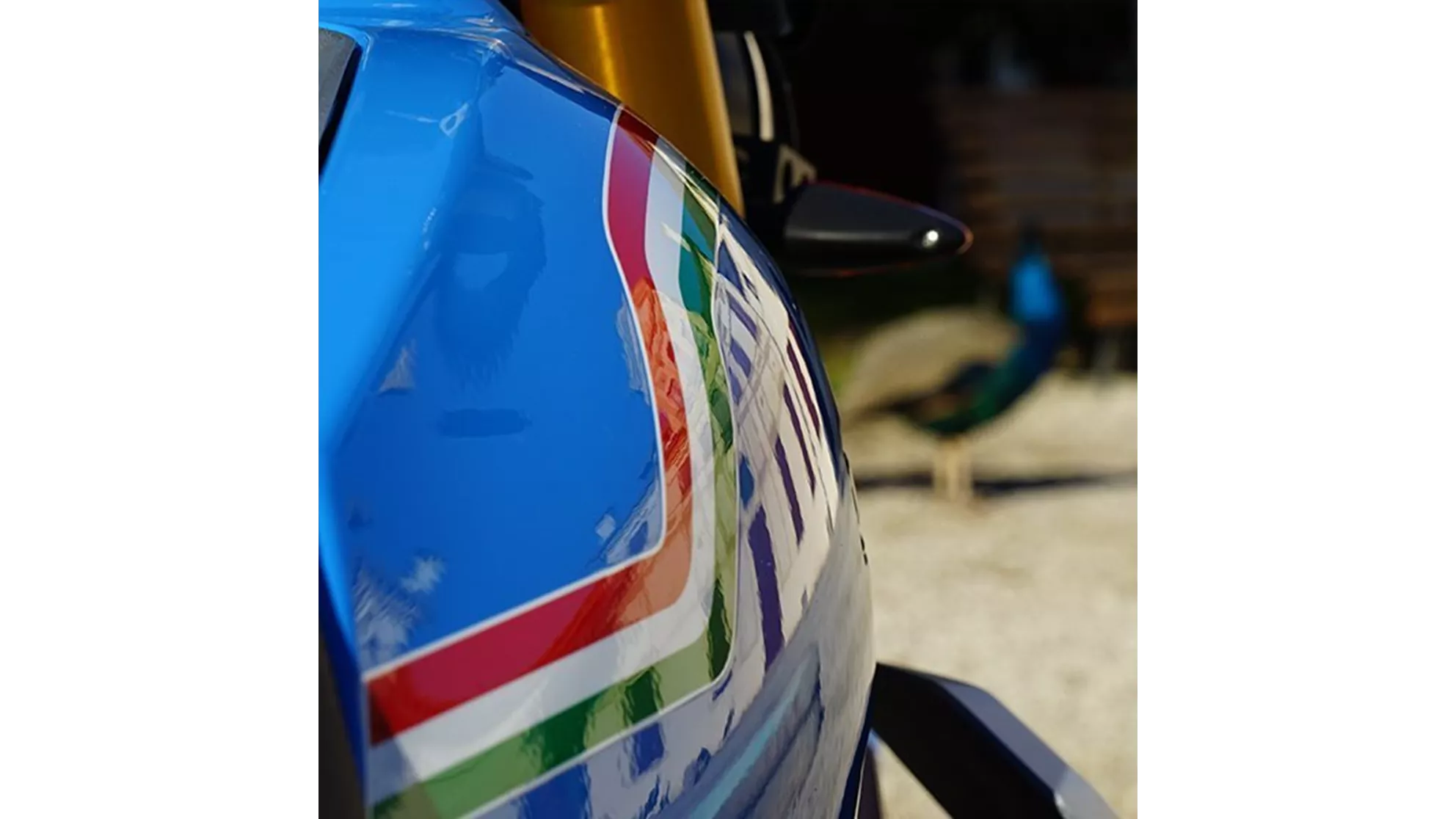 Fantic Caballero Anniversary 500 - Image 1 Fantic Caballero Anniversary 500 - Image 1