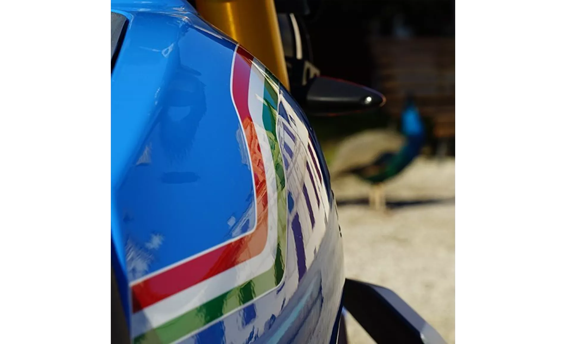 Fantic Caballero Anniversary 500 2023 Fantic Caballero Anniversary 500 2023