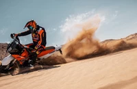 KTM 890 Adventure R Rally 2024 - Bild 5 KTM 890 Adventure R Rally 2024 - Bild 5