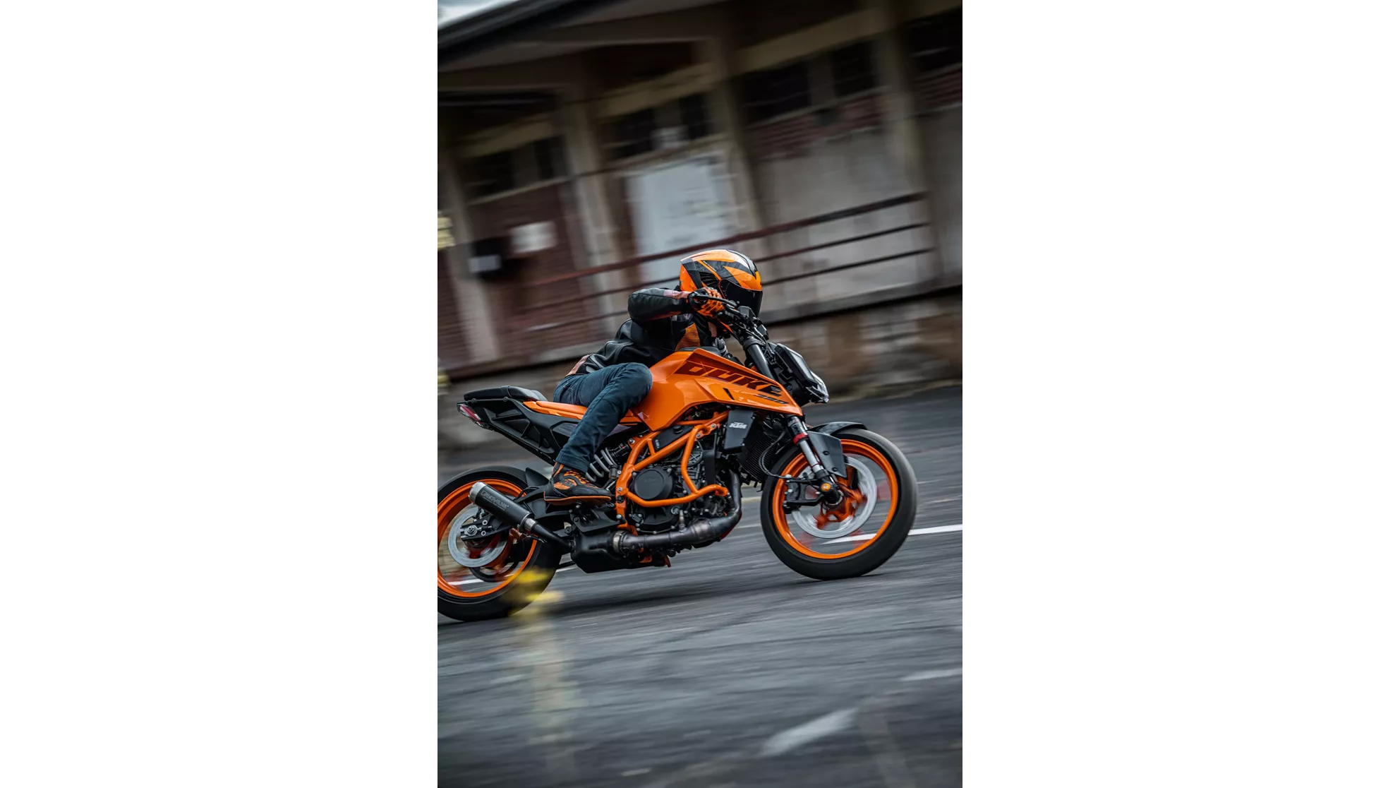 Bild KTM 390 Duke