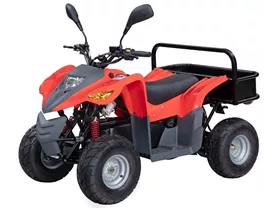 Adly E-T2000 Delivery ATV