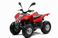 Adly EATV -100D/E-D2000 Transport ATV 2024 - Bild 1
