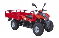 Adly Argo Delivery 100T/TF 2024 - Bild 1