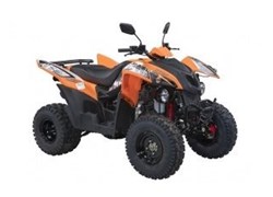 Adly ATV-320S T3 EFI/CARB