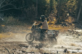 Harley-Davidson Pan America 1250 Special 2024 - Bild 7