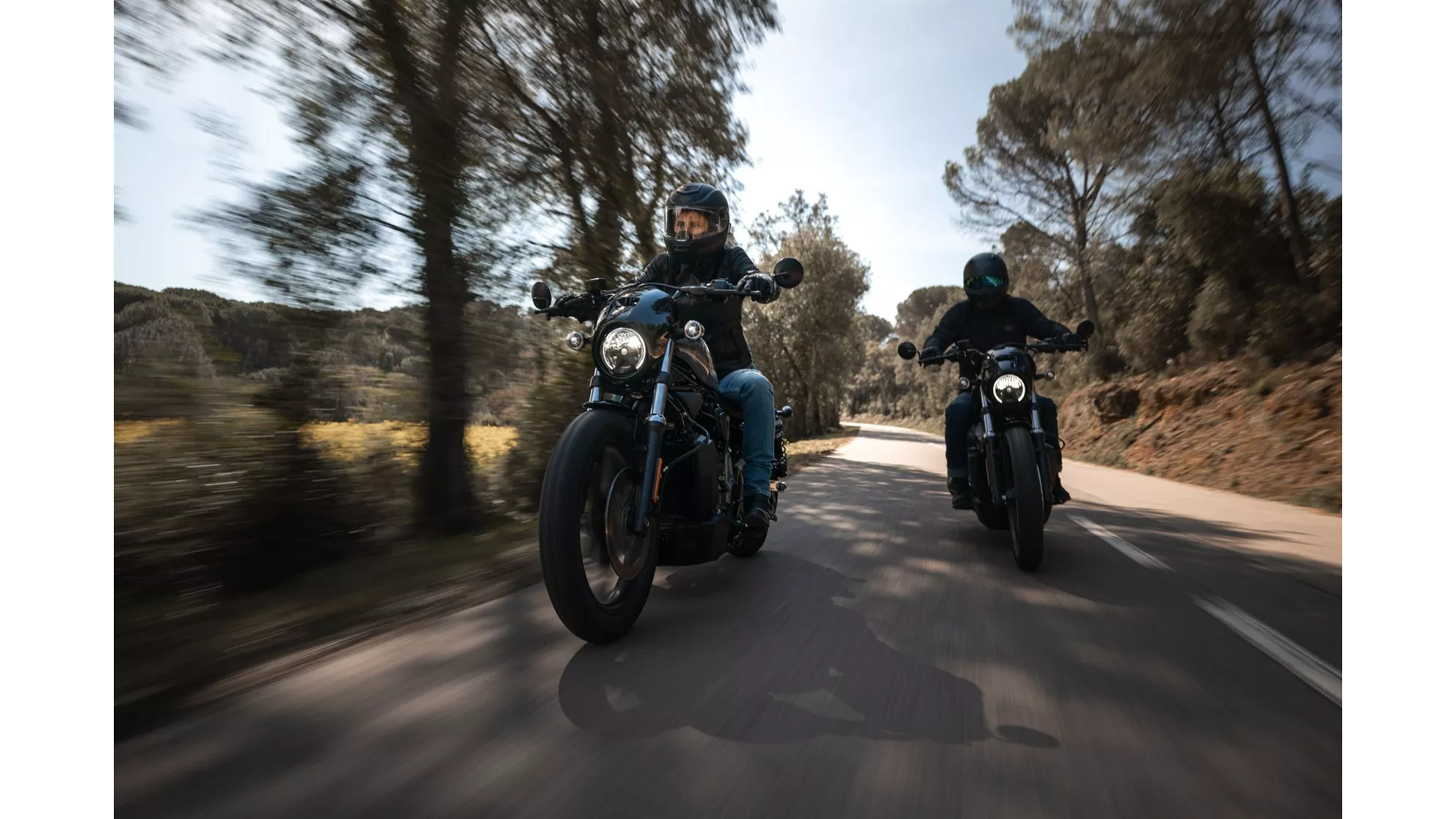 Harley-Davidson Nightster - Slika 7