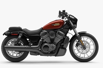 Harley-Davidson Nightster Special 2024 - Bild 4