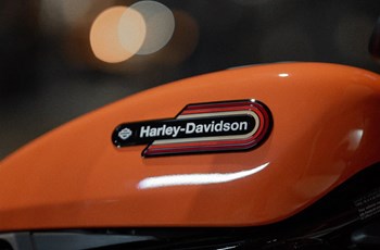 Harley-Davidson Nightster Special 2024 - Bild 9