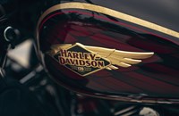 Harley-Davidson CVO Road Glide Limited Anniversary 2024 - Bild 5