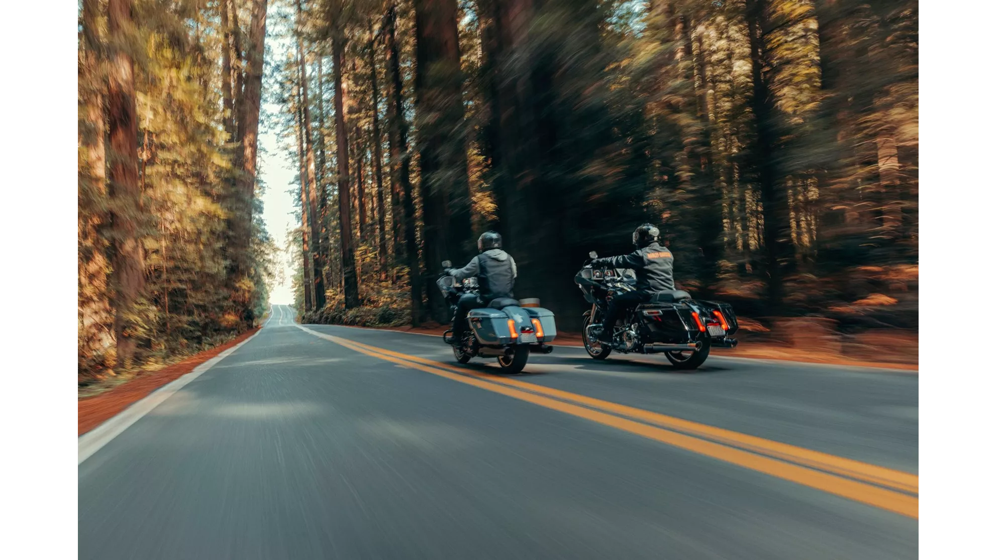 Harley-Davidson Road Glide FLTRX 2024 - Image 98 Harley-Davidson Road Glide FLTRX 2024 - Image 98