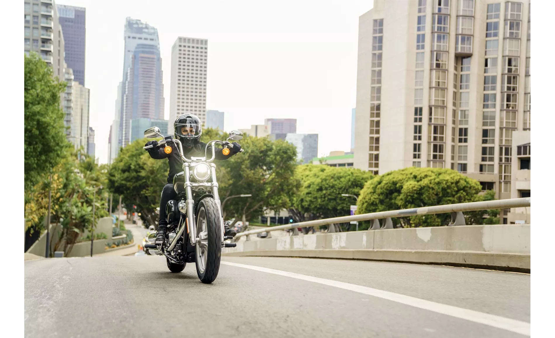 Harley-Davidson Softail Standard FXST 2024 Harley-Davidson Softail Standard FXST 2024