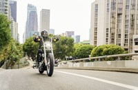 Harley-Davidson Softail Standard FXST 2024 - Bild 4