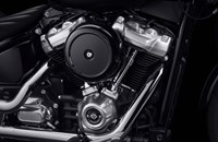 Harley-Davidson Softail Standard FXST 2024 - Bild 3