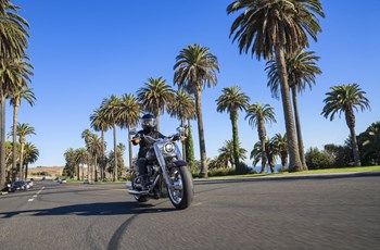 Harley-Davidson Softail Fat Boy 114 FLFBS 2024 - Bild 3 Harley-Davidson Softail Fat Boy 114 FLFBS 2024 - Bild 3