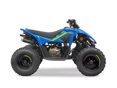 CFMOTO CForce 110 2024 CFMOTO CForce 110 2024