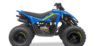 CFMOTO CFORCE 520 L DLX EPS 2024 vs CFMOTO CForce 110 2024