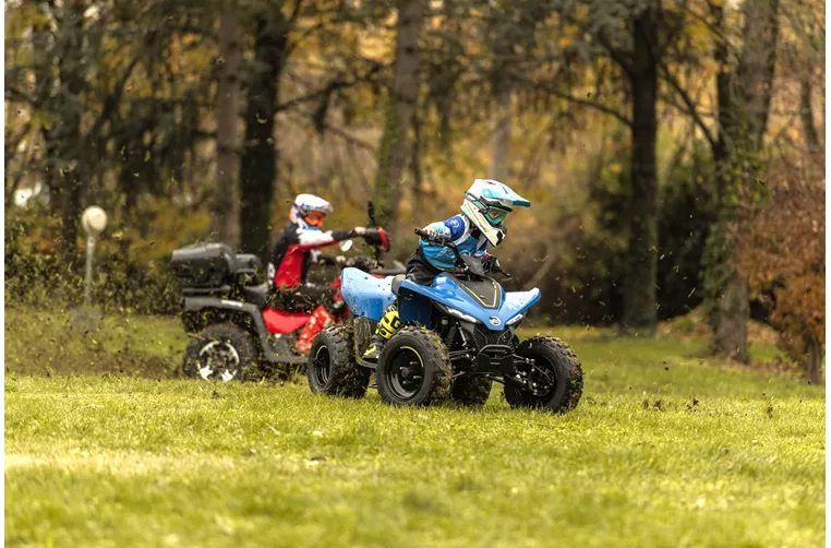 CFMOTO CForce 110 2024 CFMOTO CForce 110 2024