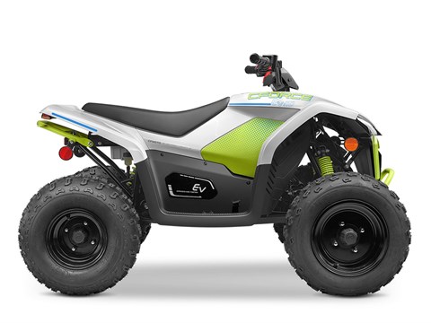 CFMOTO EV110 