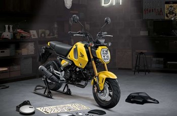 Honda MSX125 Grom 2024 - Bild 4 Honda MSX125 Grom 2024 - Bild 4
