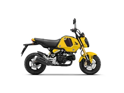 Honda MSX125 Grom 2024 Honda MSX125 Grom 2024