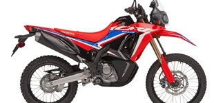 Honda CRF300 Rally 2024 vs BMW F 900 GS 2024