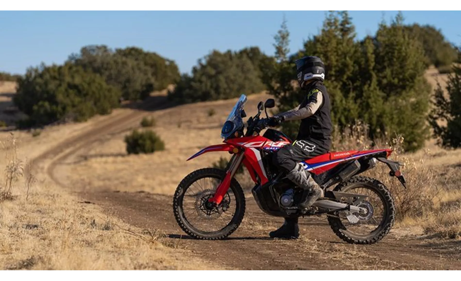 Honda CRF300 Rally 2024 Honda CRF300 Rally 2024
