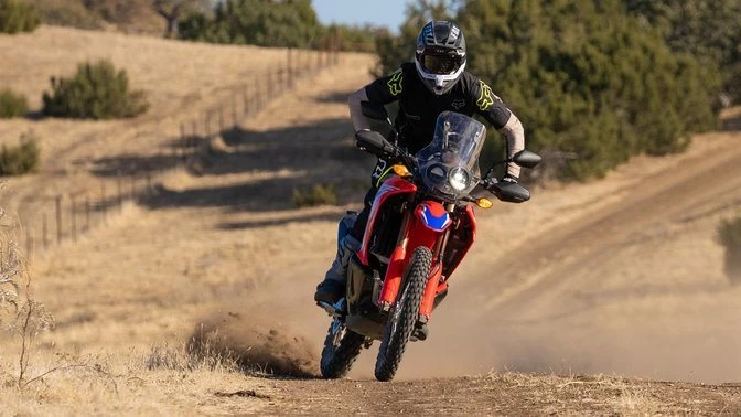 Honda CRF300 Rally Bild 10: Honda CRF300 Rally