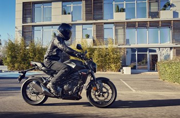 Honda CB300R 2024 - Bild 4