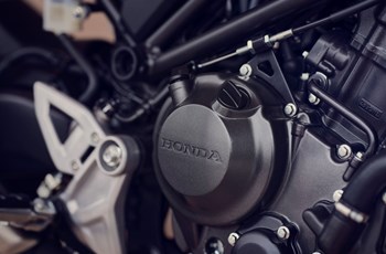 Honda CB300R 2024 - Bild 9