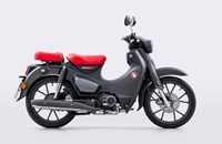 Honda Super Cub C 125 2024 - Bild 1