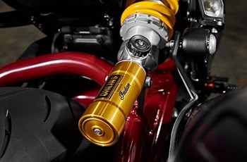 Indian FTR x RSD Super Hooligan 2024 - Bild 3